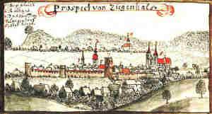 Prospect von Ziegenhals - Widok miasta